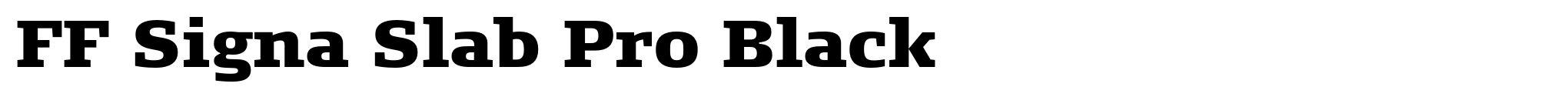 FF Signa Slab Pro Black image